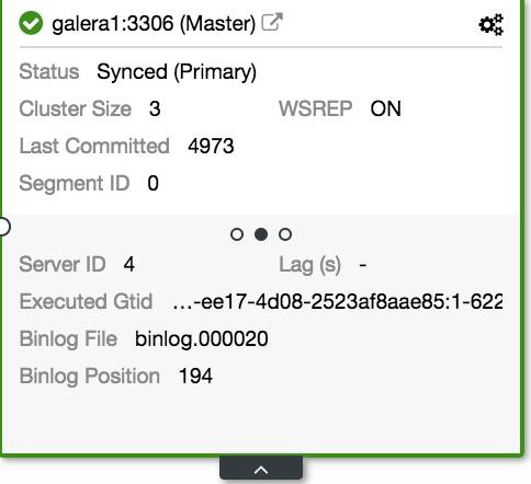 Node Details View 2