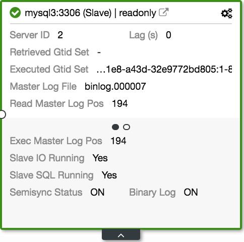 Slave Node Details View 1