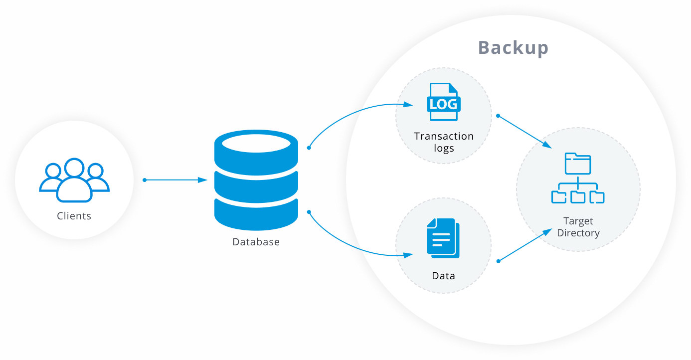 Backup Process