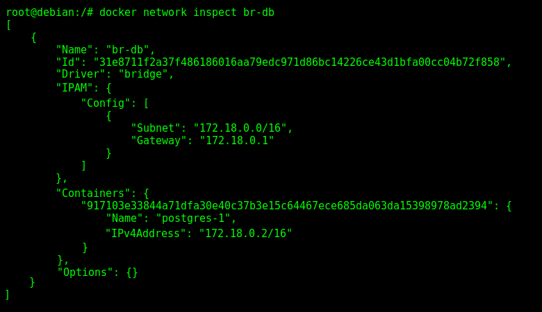 Inspecting the Docker User-Defined Network Interface "br-db".