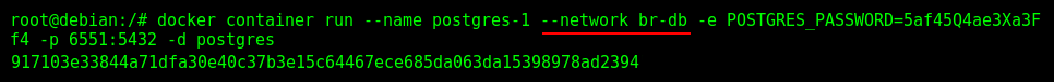 Running a PostgreSQL container into the network "br-db".