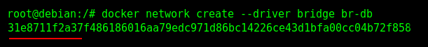 Creating the User-Defined Bridge Network "br-db".