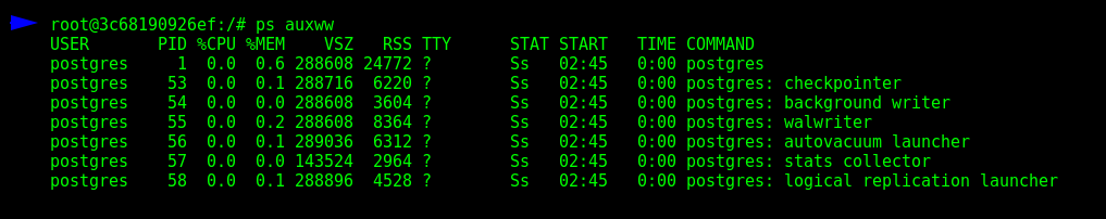 PostgreSQL main processes