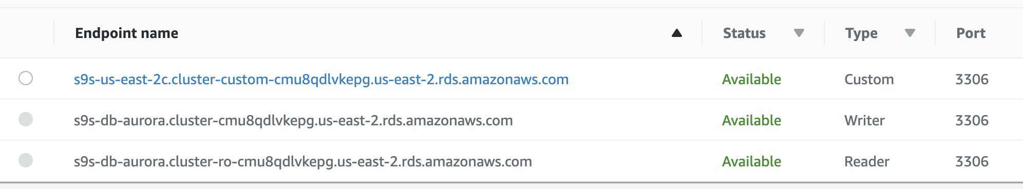 Amazon RDS Endpoint Name